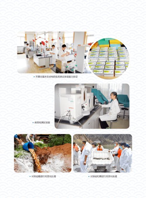 辉煌成就 水产技术推广三十年回顾——第五期 疫病防控与质量安全技术服务