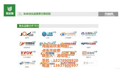海南网络推广技术服务全解析 以蓝欣为例探究成本与价值