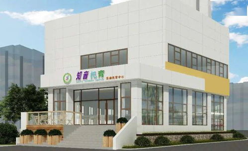 线上文博会展出季 | 湖北 数字赋能荆楚文化，技术驱动创新发展