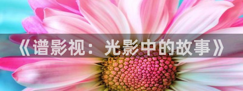南瓜影视大全高清免费官方版