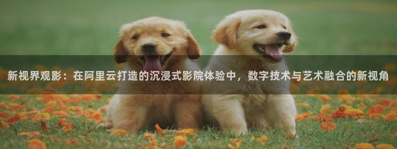 南瓜电影app下载