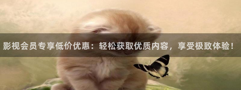 南瓜重庆