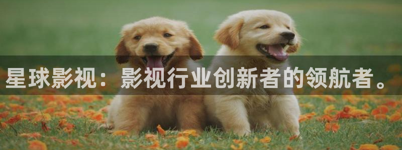 安徽蜜本南瓜