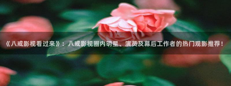 南瓜电影高清正版精品影视