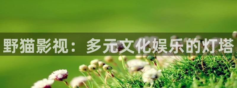 高密南瓜